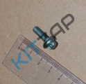 ���� ������ ������� ��������� ������� �����